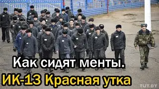 Как сидят менты. ИК-13 Красная утка. Зона для бывших сотрудников