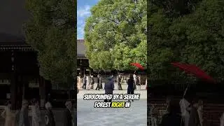 Meiji Jingu Shrine - Tokyo - Japan #Japan #Tokyo #travelgoals #meijijingu