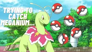 trying to catch meganium...