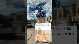 Мемы 13