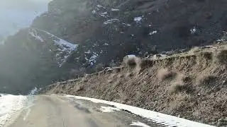 Yolda söhbət.Ayhan Bakıya  qayıdır