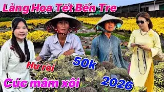 Làng Hoa Tết Bến Tre 2026 Bà Con Thua Lỗ Bỏ Cả Núi Hoa Cúc Mâm Xôi Rẻ Bèo