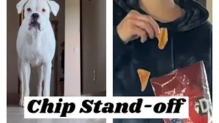 A Good Ol&rsquo; Fashioned Chip Stand-off!