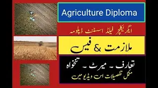 Diploma in agricultural sciences | Field assistant course Scope , Introduction,fee,Merit ,Jobs