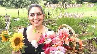 August Garden Tour and Harvest | Zone 6