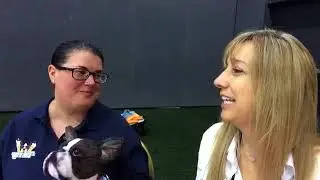Interview with Bryn from A Dog Walks into a Bar at BlogPaws 2018