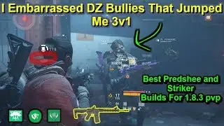 I Embarrassed DZ Bullies That jumped Me 3v1(Best Predshee /Striker Builds For pvp)|Division 1.8.3|