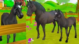 New Foal Training Star Stable Online Curly Horse App Video