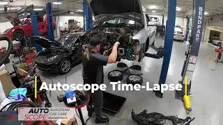 Audi A4 Quattro Timing Belt Replacement Time-Lapse