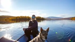 Husvika