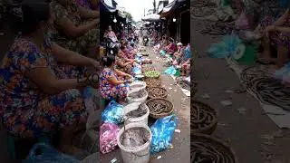 Exploring Unique Traditional Market | Exotic Street Food Variety@viralmunchies-ai