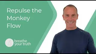 Qi Gong Repulse the Monkey Flow
