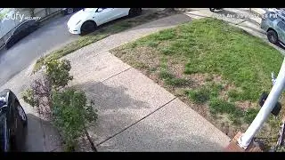 Video captures motorcyclist driving on sidewalk in Staten Island