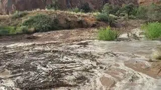 Moab Mill Creek Flood
