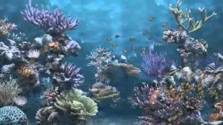 Fish Schooling - Flocking - Using The Boids Algorithm