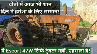 VINTAGE ESCORT 47 W TRACTOR FOR SALE | 1969 Classic with Perkins P4 Engine | Low Maintenance Legend