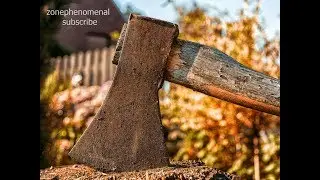 SUPER AND STRONGEST WOOD CHOPPER MAN