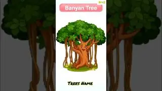 🌳🌴Tree's Name with pictures | for kid's Vocabulary in English | #learnenglish | @Rubaaa221