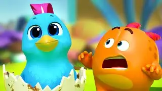 Bird Watch, Funny Cartoon Videos & Comedy Show for Kids by BOOYA