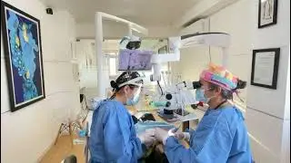 Microdentistry in Mongolia