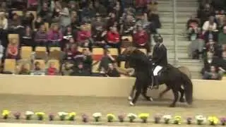 Worldt&ouml;lt 2013 - Blesasta&eth;ir