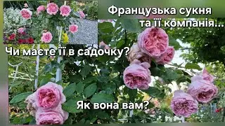  Французька сукня/Robe à la Française/ та її компанія
