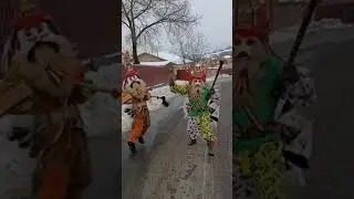 Datini, obiceiuri și traditii  de Anul Nou #comănești #traditii #joculursului #tradition #capra