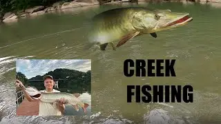 Creek Fishing Southwest Pennsylvania