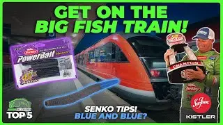 Stick worm madness! All blue baits? Top 5 in Bass Fishing Ep 103
