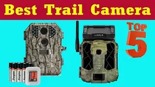 Top 5 Best Trail camera 2021