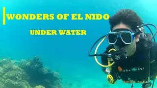 El Nido Philippines Scuba Diving | Ranmarc Dive Shop |