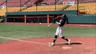 Eliomar Otero- Home Field Hunter Baseball
