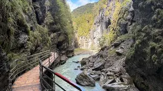 Lucerne to Aare Gorge & Reichenbach Falls | Scenic Swiss Train & Nature Adventure