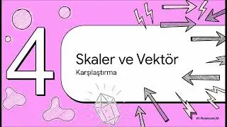 2.2. SKALER VE VEKT&Ouml;REL NİCELİKLER