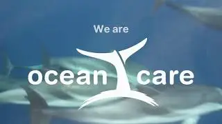 We are OceanCare