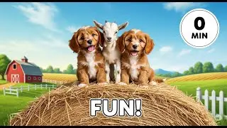 Cavapoo Puppies & Baby Goat Fun!