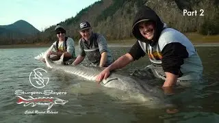Catching GIANT white STURGEON (Part 2)