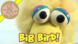 Sesame Street 24