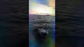 FIGUERETAS IBIZA