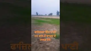 fazilka de halat bhut maade ne dekho video share plzz#satlujnews #bhakradam #floodvideos