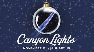 Magical Canyon Lights at Capilano Suspension Bridge Park
