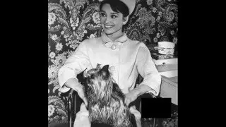Audrey Hepburn-Moon River*