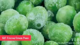 IQF Frozen Green Pea-Xiamen Sharp Dragon