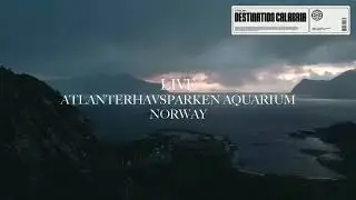 Stisema - Destination Calabria | Live - Atlanterhavsparken Aquarium - &Aring;lesund - Norway