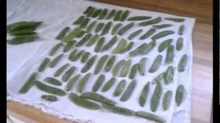 Freezing Snow and Sugar Snap Peas