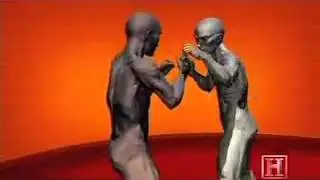Kambiz Warrior - The basic science of Muay Thai Techniques (by Human Weapon)