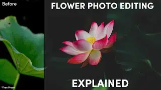 Учебник по Photoshop: ОБЪЯСНЕНИЕ РЕДАКТИРОВАНИЯ ФОТОГРАФИЙ ЦВЕТОВ — Бесплатный набор настроек