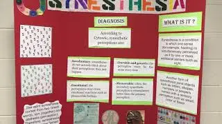 Synesthesia