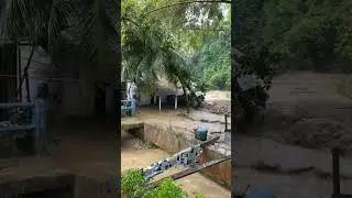 Unbelievable floods 😱😳 caught on camera #viral #trending #floods #flood #Disaster #nature #viral