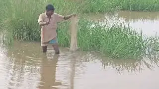 🐟🐟 মাছ ধরতে গিয়ে সাপ ধরা পড়েছে